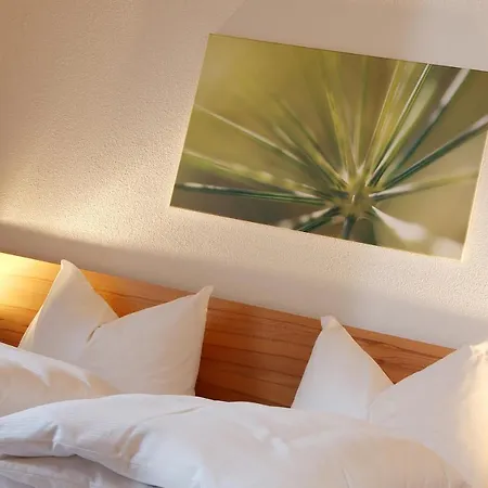 Ladner 장크트안톤암아를베르크